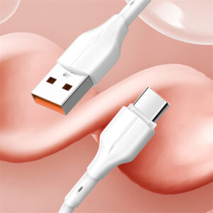 Type C Fast Charging Data Cable and Sync (LDNIO