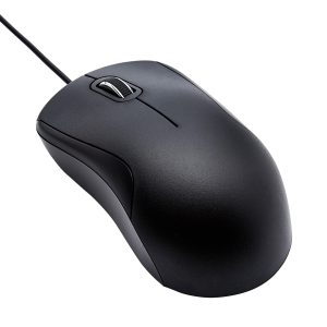 Normal Mouse